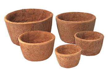 Coco Pot